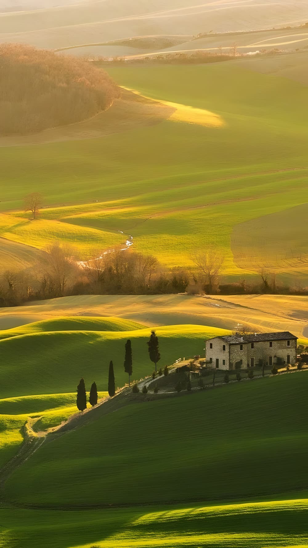 Farmhouse among rolling green fields
