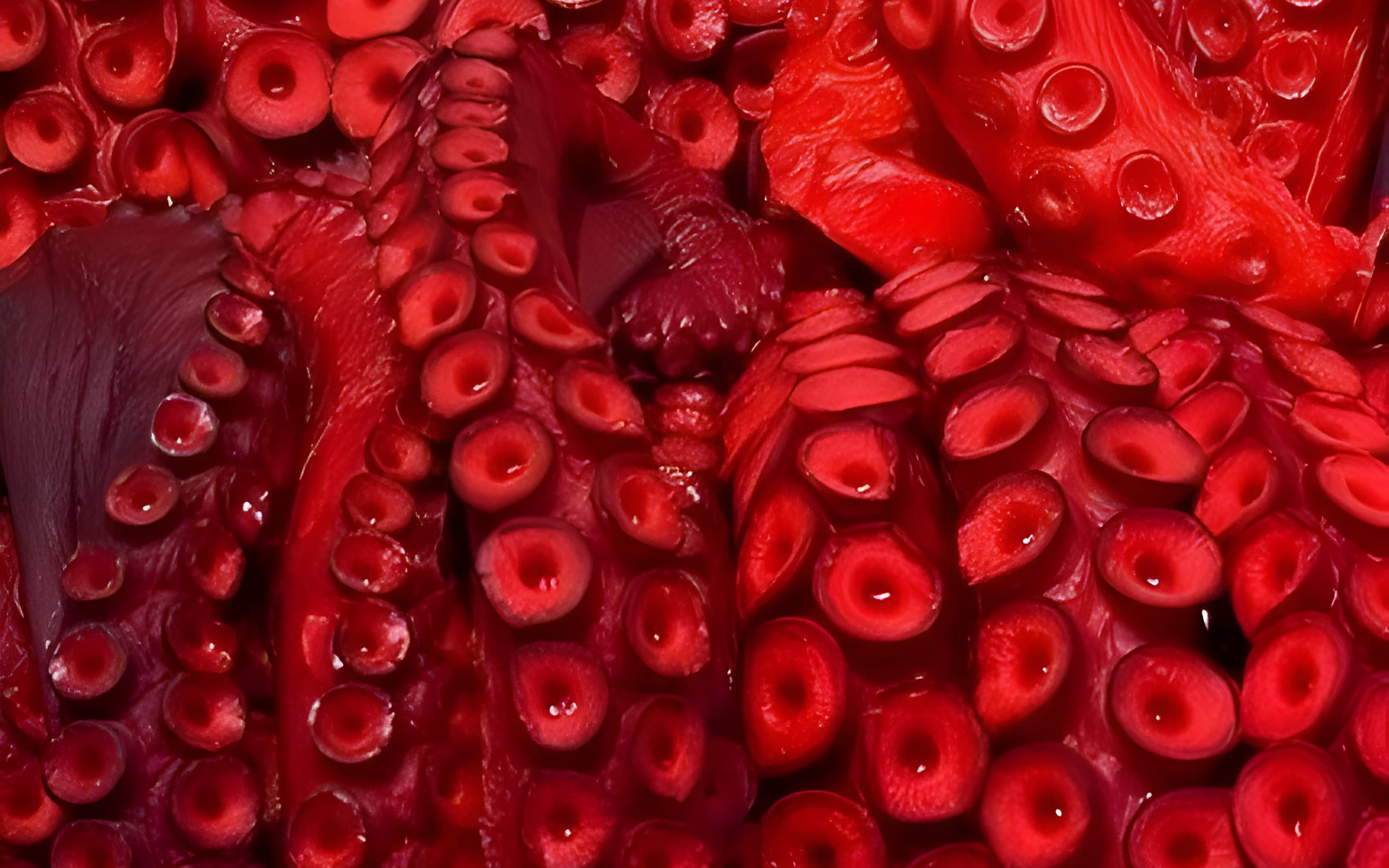 Close study of a saturated red organic surface